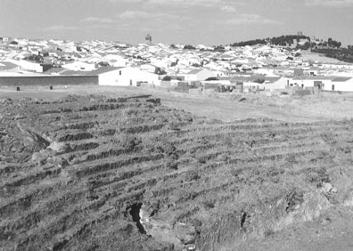 Imagen secundaria 1 - El hambre desveló el crimen casi perfecto