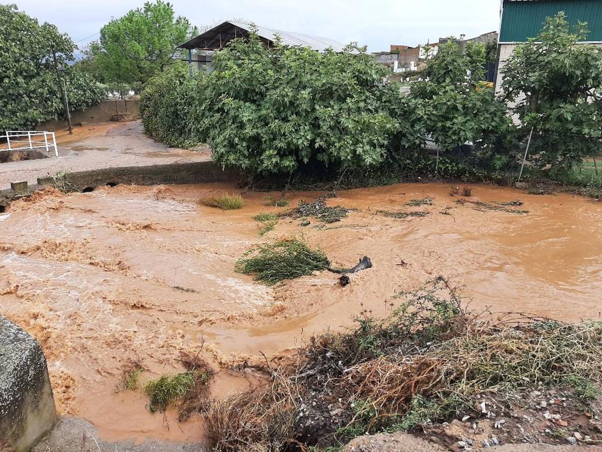 Fotos: Imagénes que deja el temporal a su paso por la provincia de Badajoz