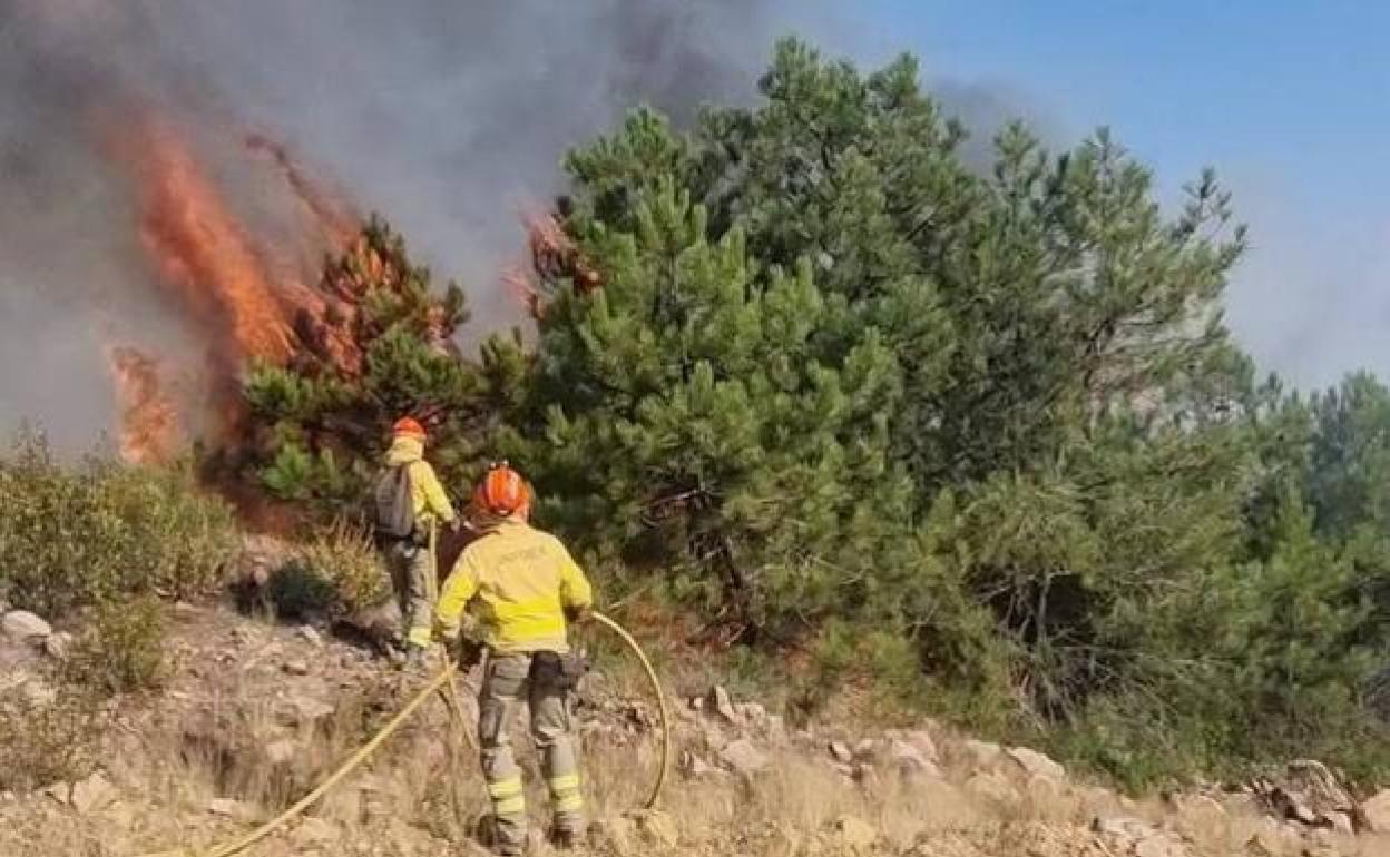 Los incendios forestales afectan a 30 hectáreas la última semana en Extremadura