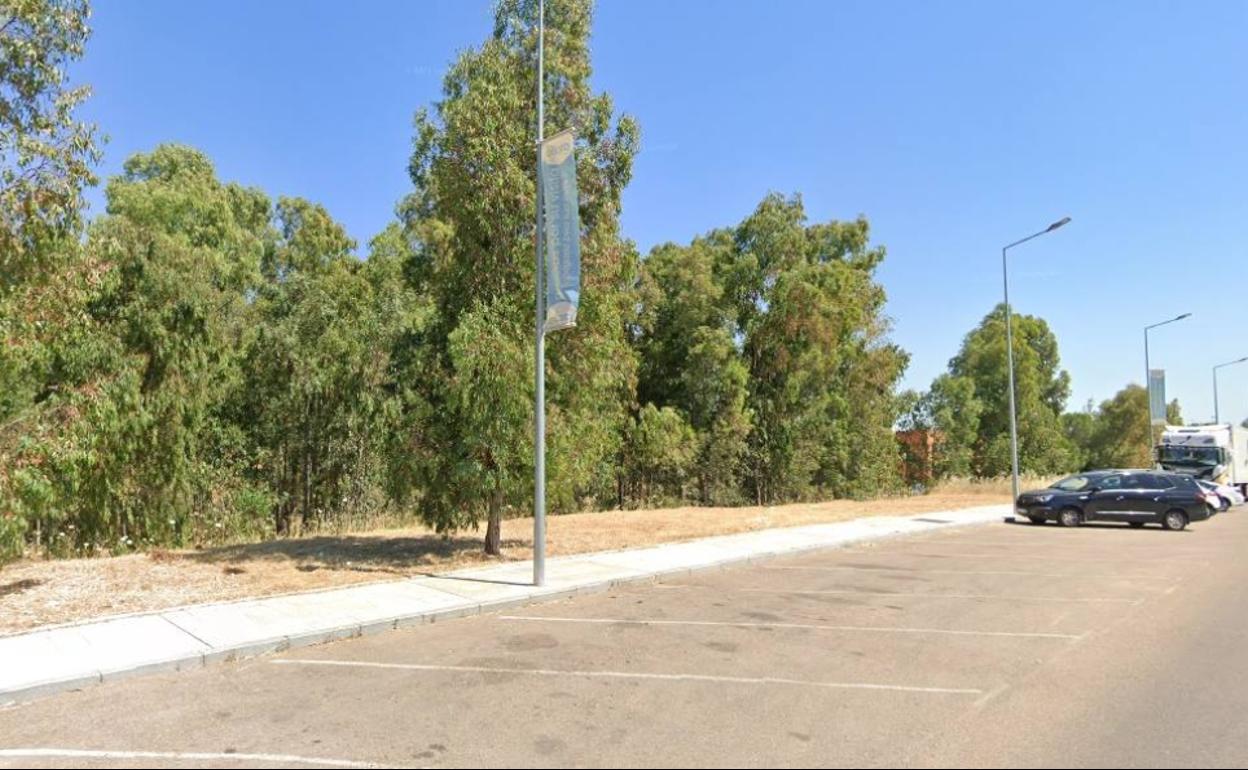 Alameda en la que se celebró el botellón.