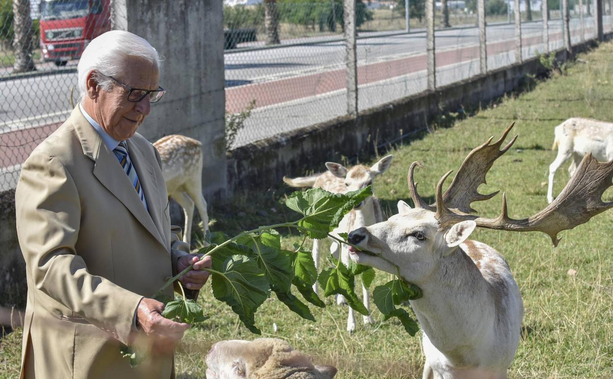 Rondão Almeida alimenta a un gamo en su quinta de Elvas, a la entrada de la localidad desde España.