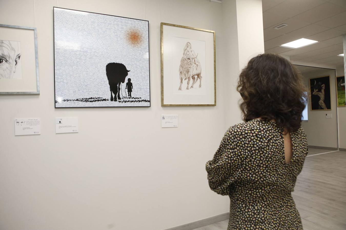 Pintura en el colegio de Veterinaria.