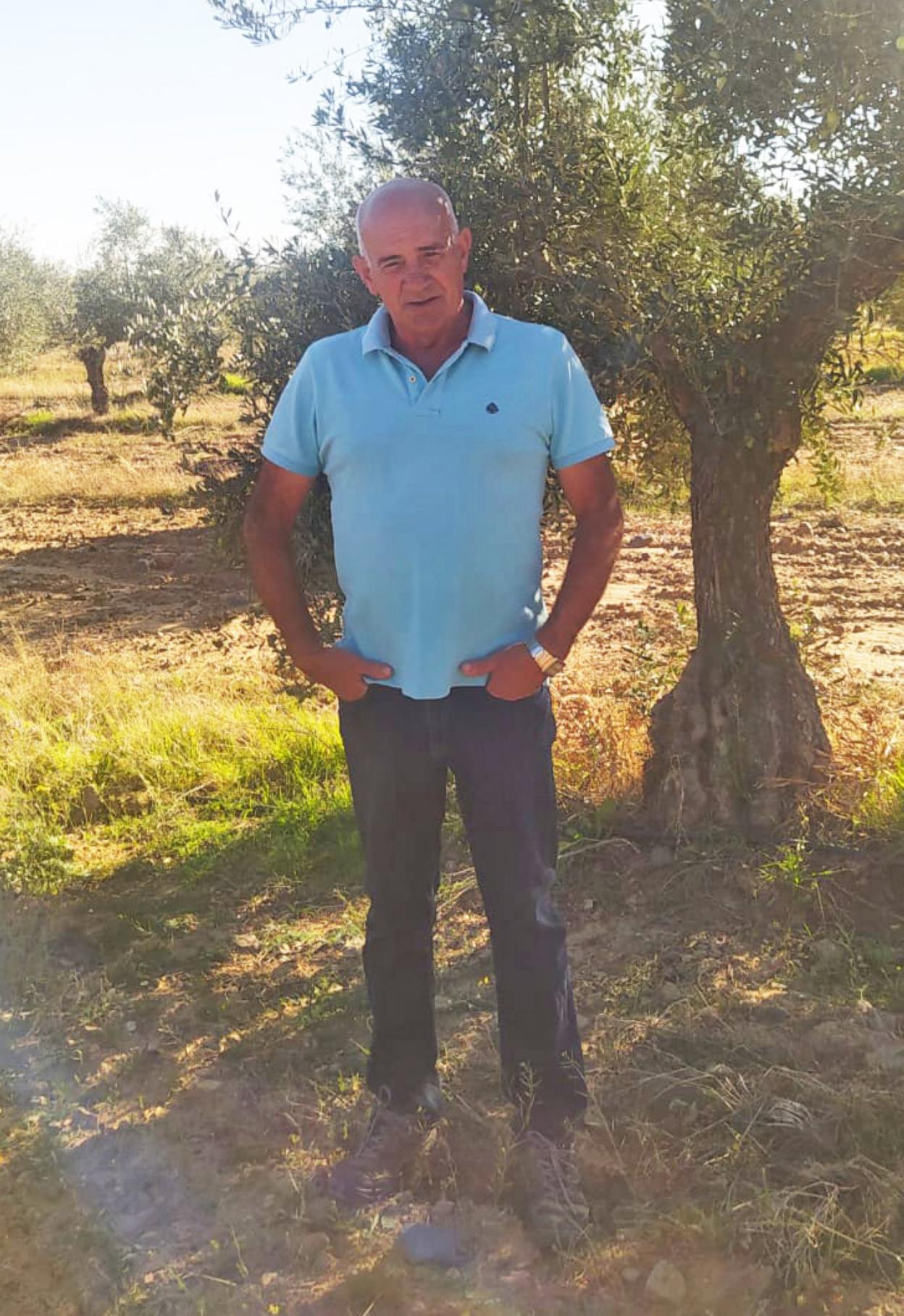 Antonio Tena dispone de 2.700 árboles en su olivar ecológico. 
