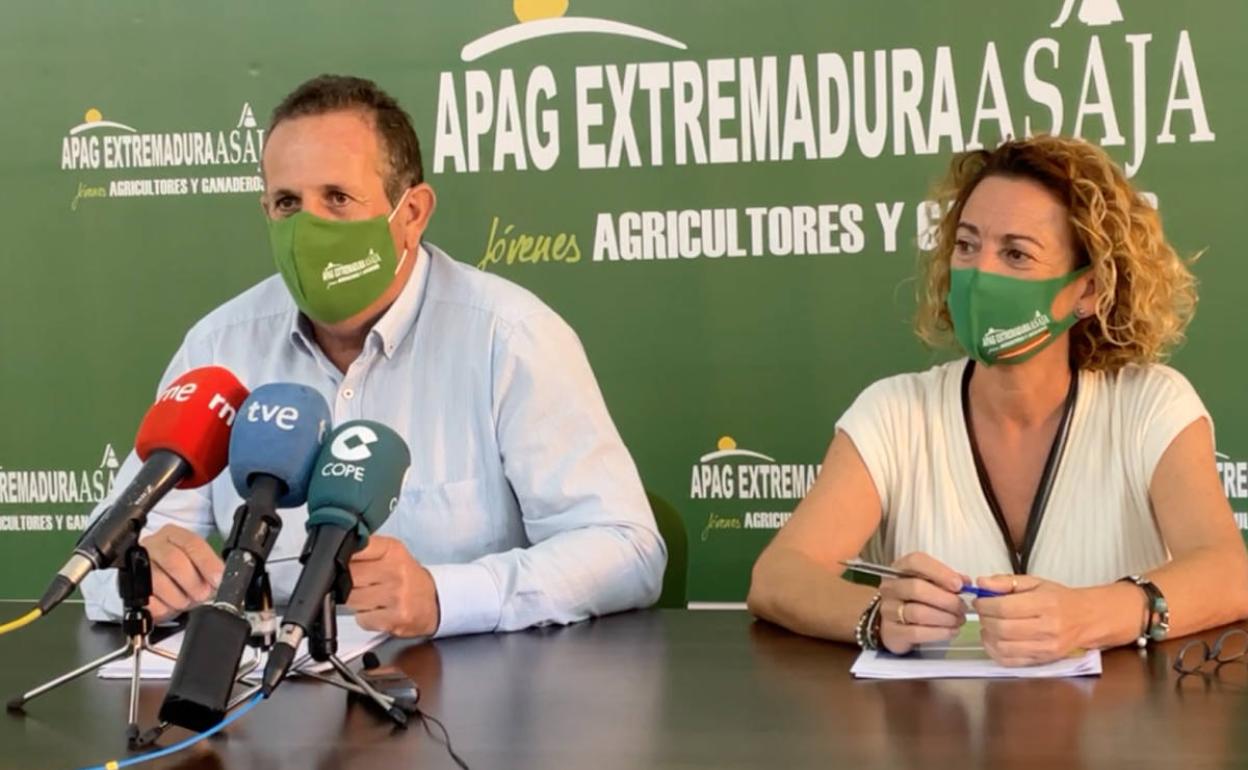 Juan Metidieri, presidente de Apag Extremadura Asaja, en rueda de prensa.