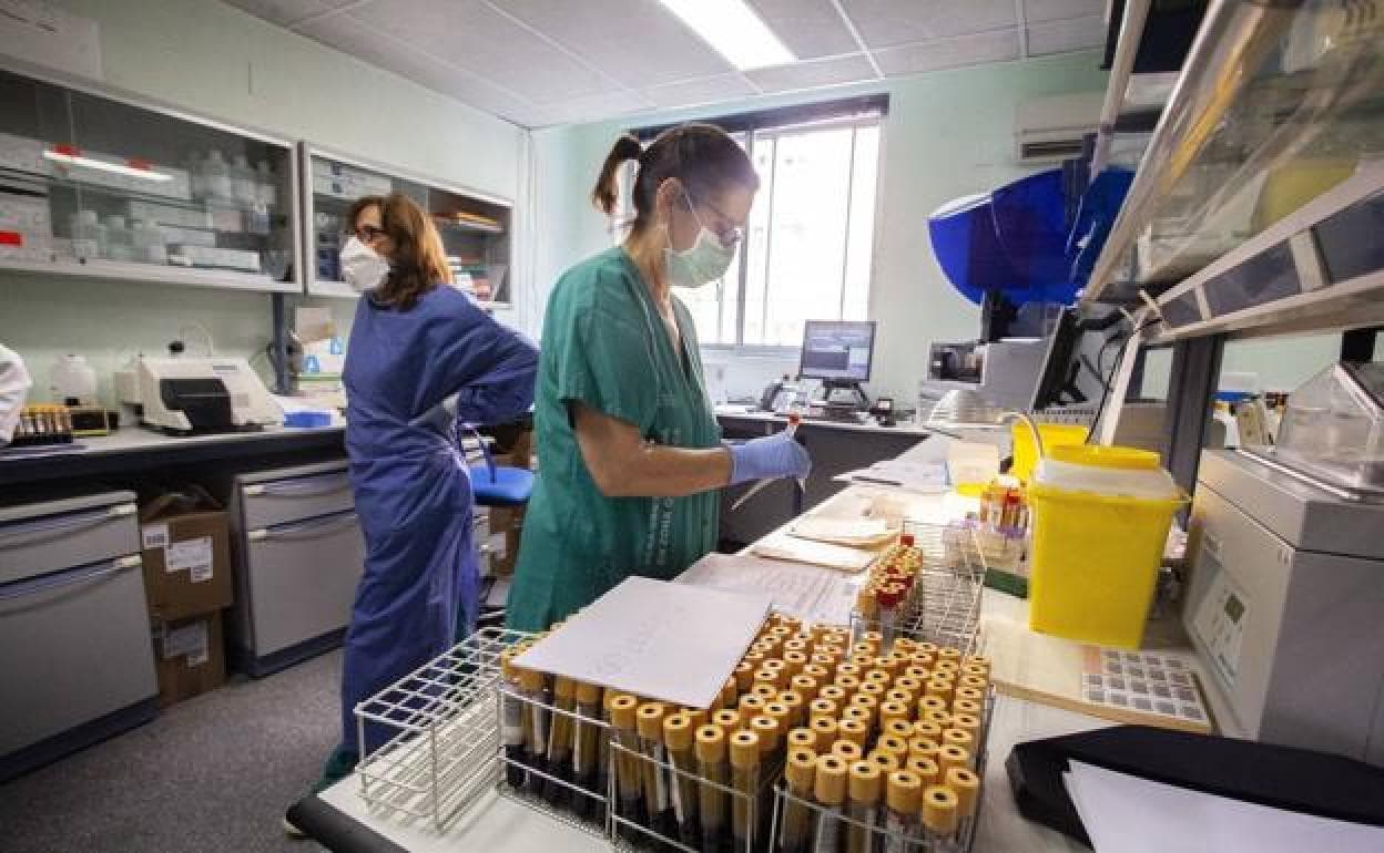 Coronavirus en Extremadura: La delta plus ya supone el 5,6% de los casos analizados en Extremadura