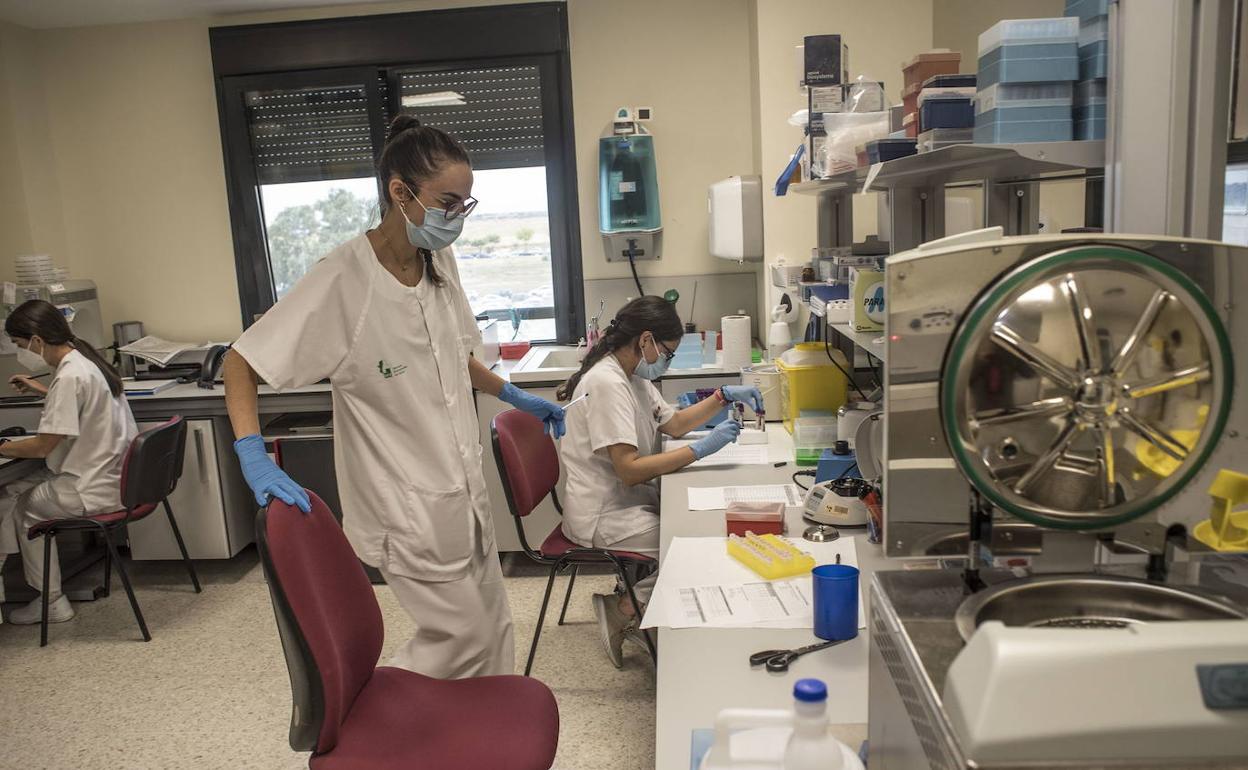 Personal investigador del programa Medea del SES. 