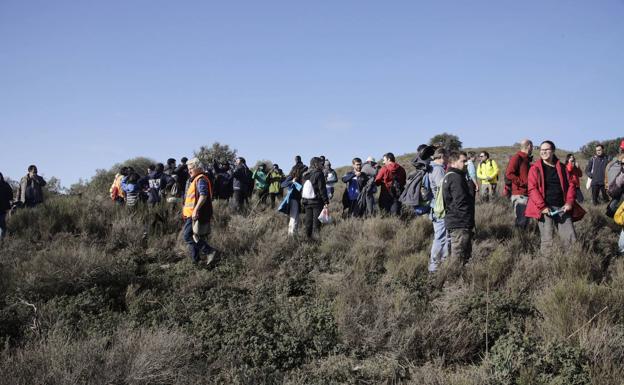 El arroyo de San Gabriel, en Los Montitos, será reforestado este sábado. 