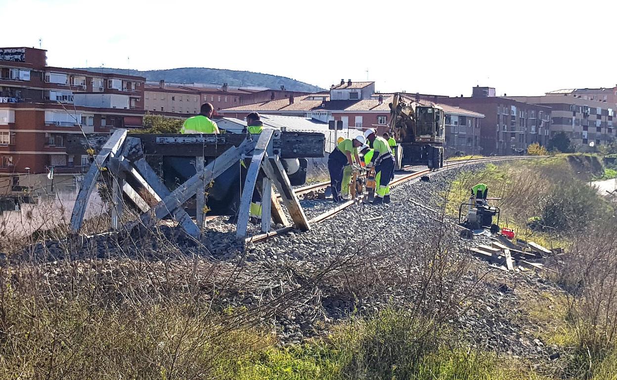 Operarios trabajan en el desmantelamiento de las vías en el tramo de Plasencia. 