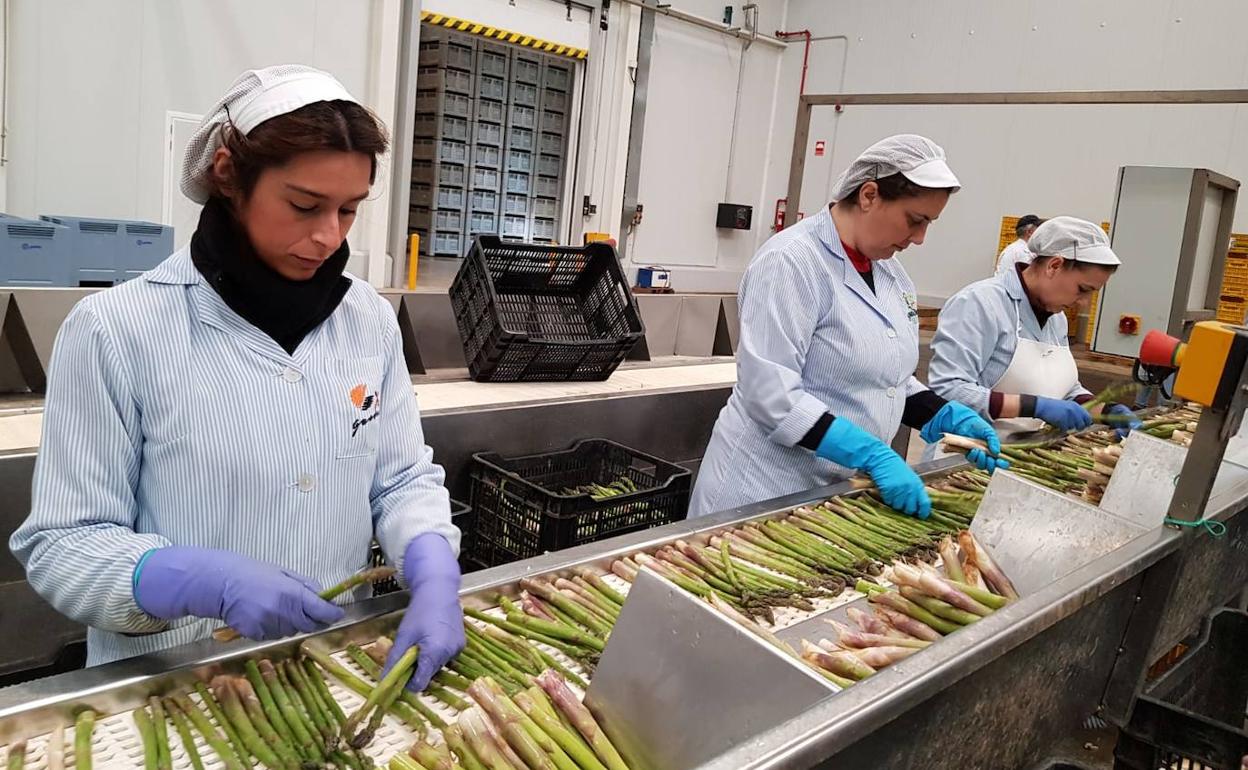 La industria alimentaria española, cerca de los niveles de empleo prepandemia