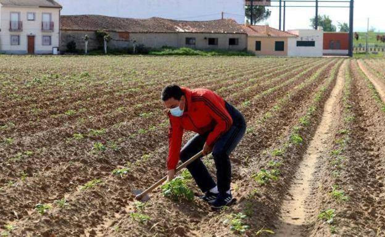 Los jóvenes agricultores no llegan al campo