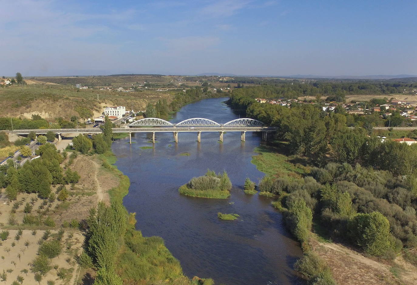 Verraco de Segura de Toro