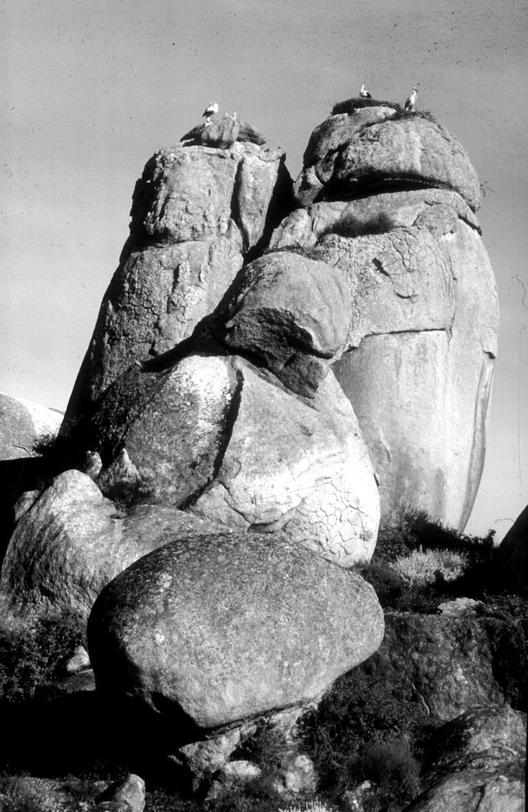 Verraco de Segura de Toro