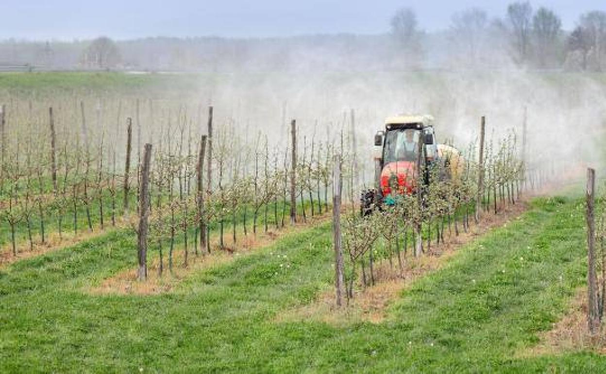 Agricultor extremeño fumigando con fertilizantes naturales.