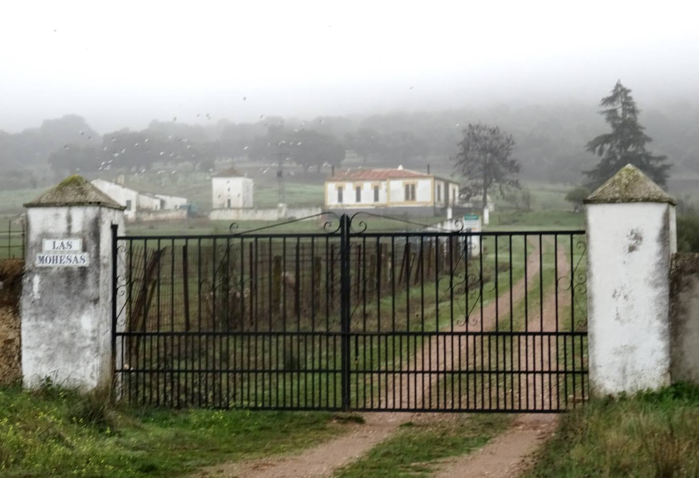 La finca Las Mohesas.