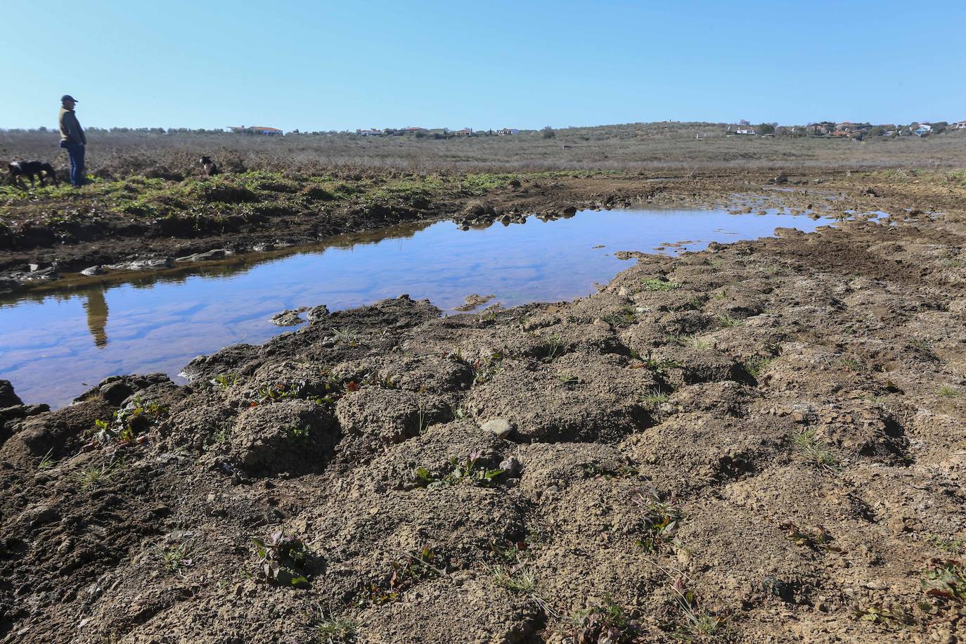 Embalse de Alange, entre Palomas y Almendralejo