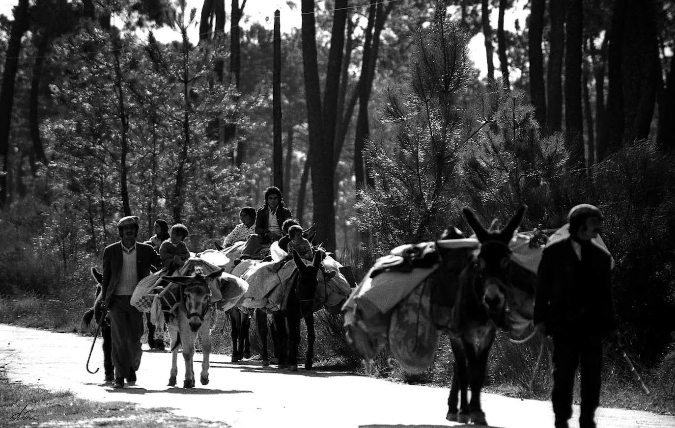 Gitanos portugueses trasladándose para recoger cerezas en El Jerte. 