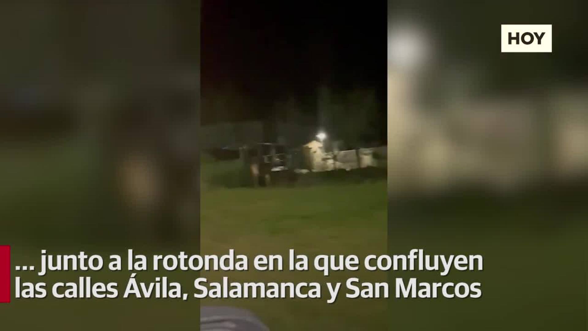 ​​​Dos ciervos visitan el Carnaval