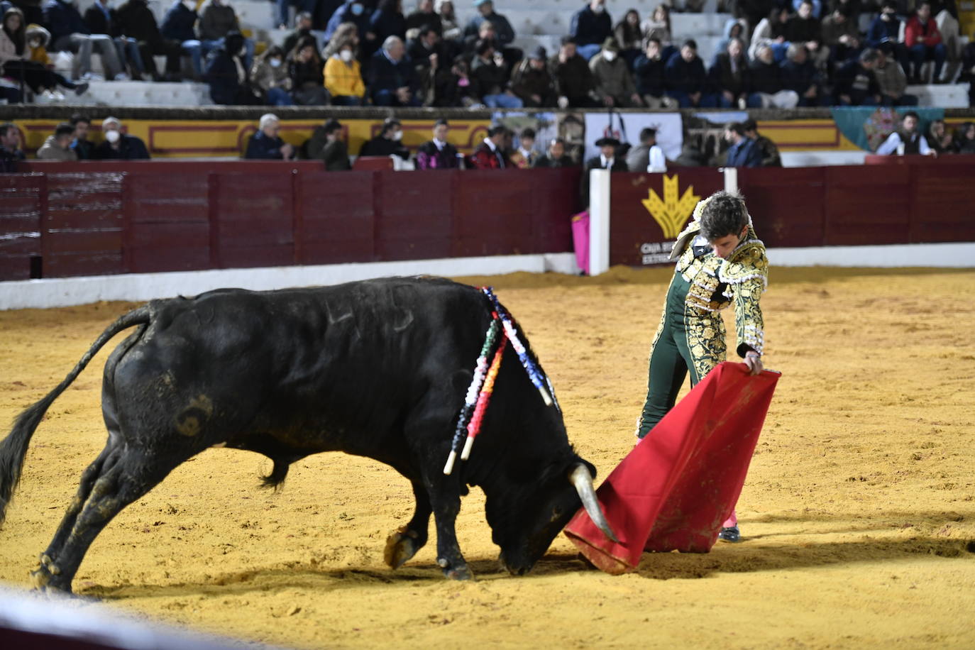 Fotos: Primer festejo de la Feria de Olivenza: Novillada con Carlos Domínguez, Manuel Perera y Eric Olivera