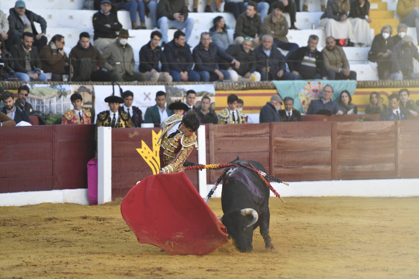 Fotos: Primer festejo de la Feria de Olivenza: Novillada con Carlos Domínguez, Manuel Perera y Eric Olivera