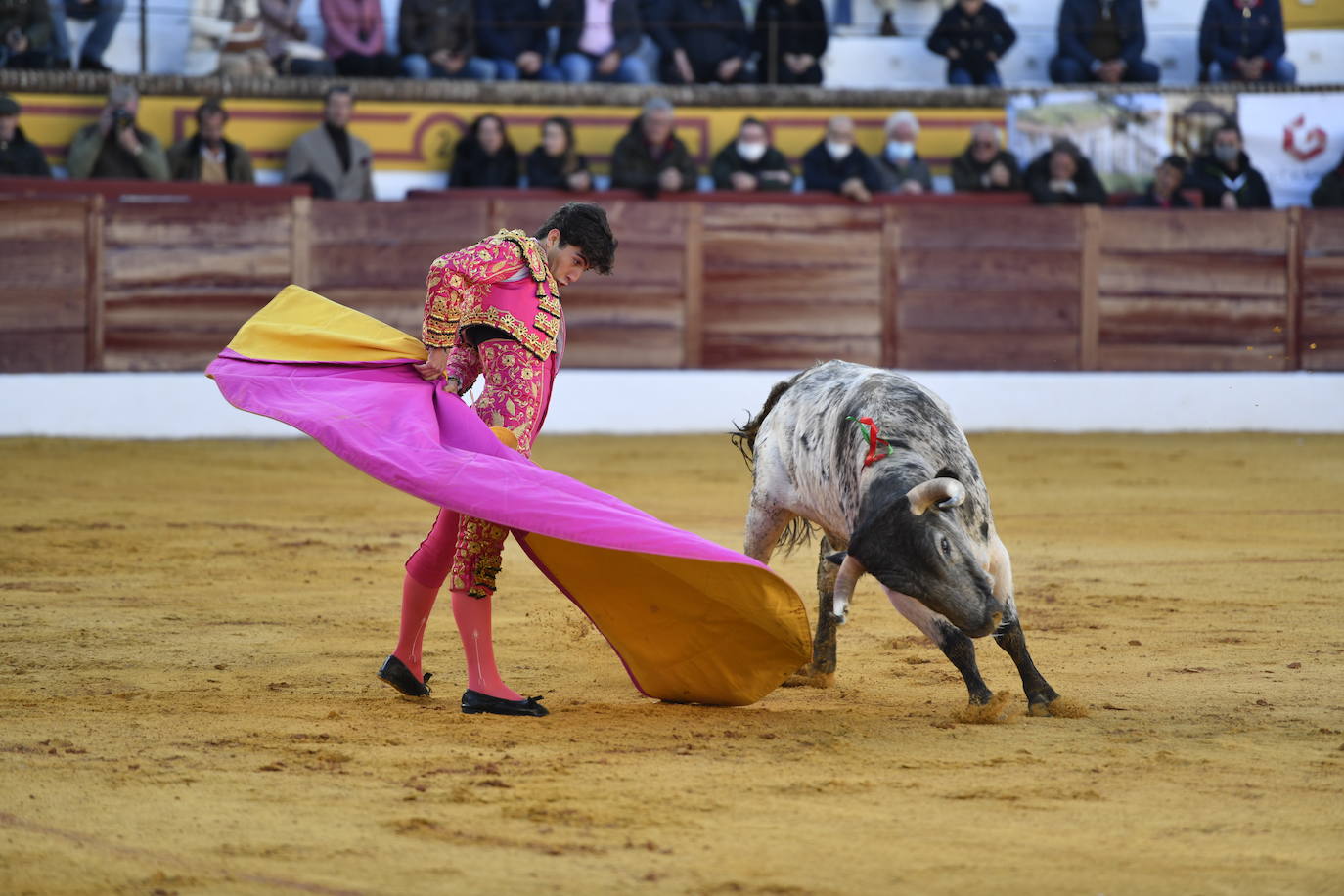 Fotos: Primer festejo de la Feria de Olivenza: Novillada con Carlos Domínguez, Manuel Perera y Eric Olivera