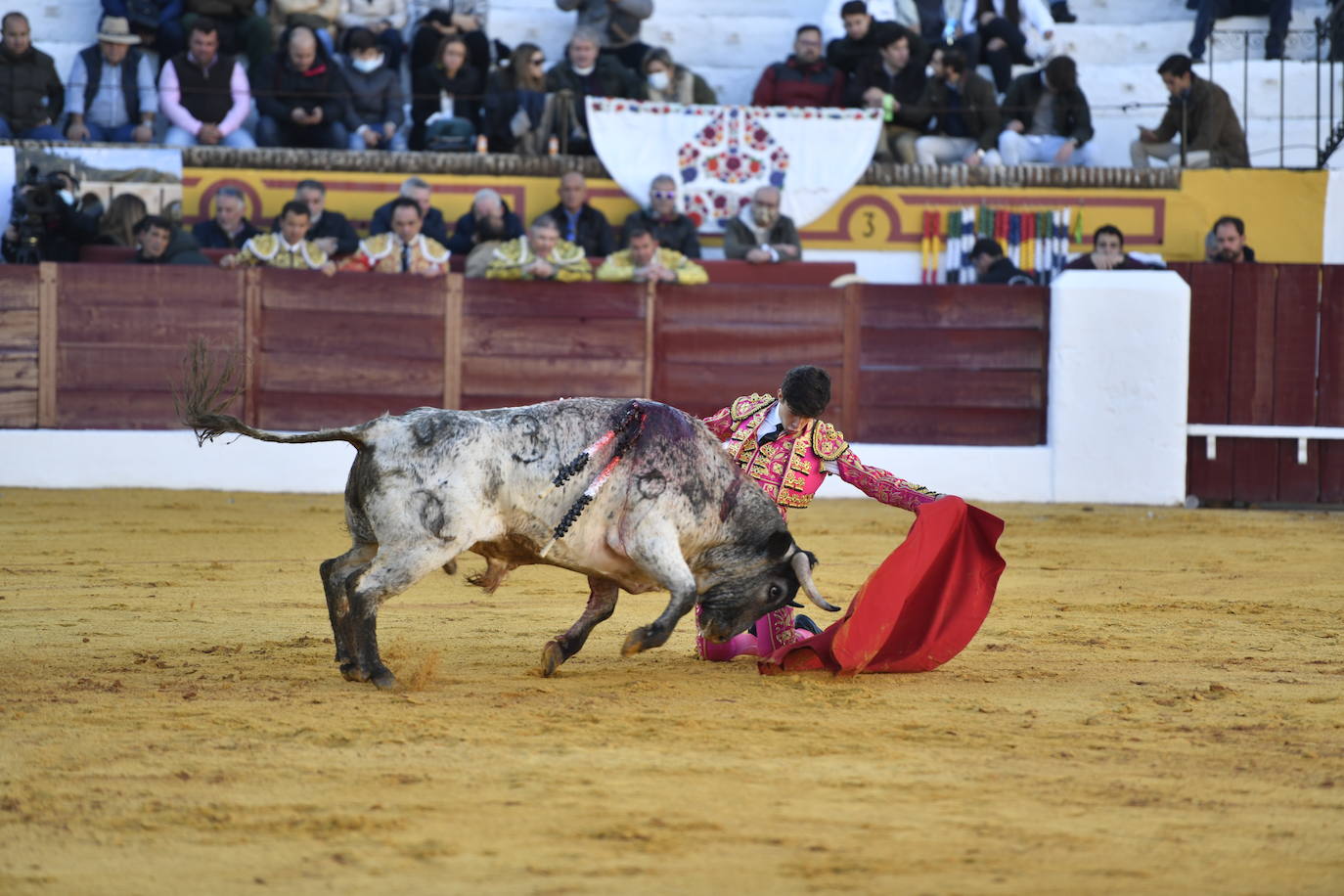 Fotos: Primer festejo de la Feria de Olivenza: Novillada con Carlos Domínguez, Manuel Perera y Eric Olivera