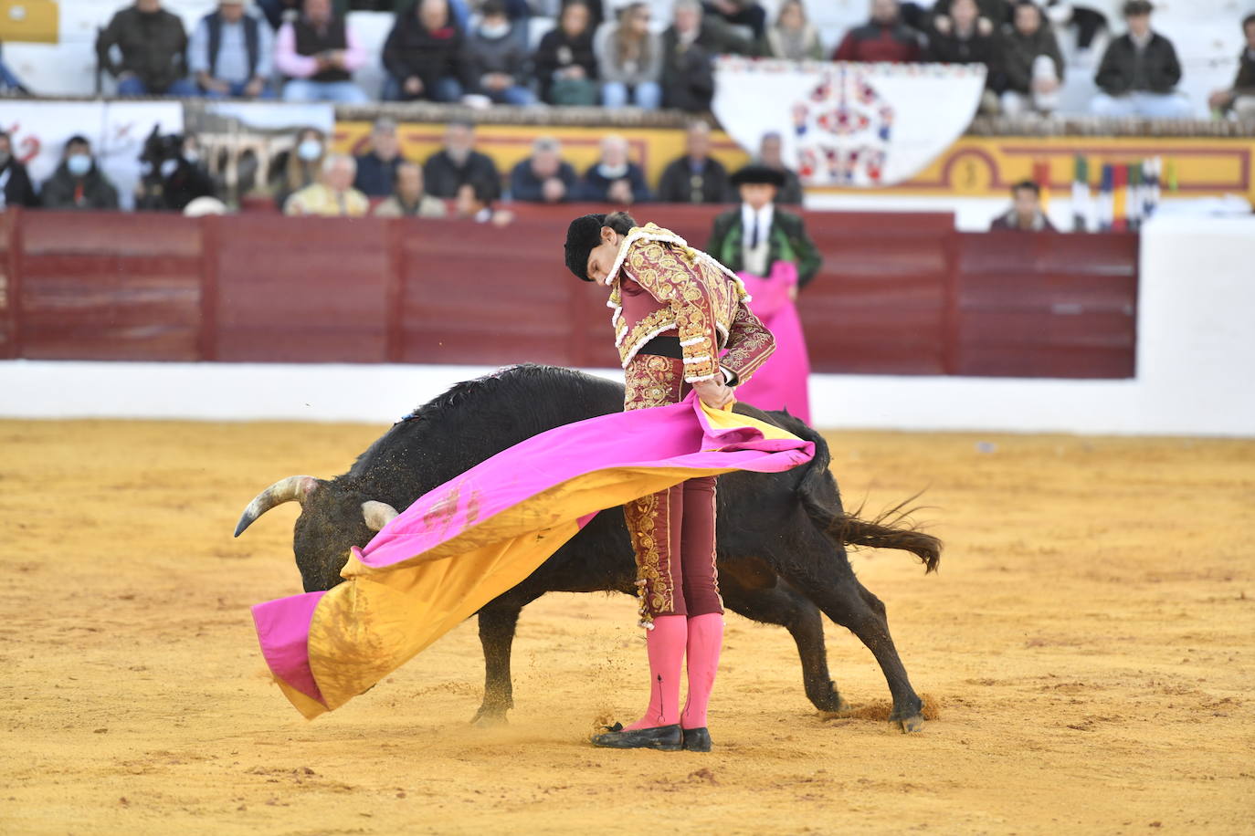 Fotos: Primer festejo de la Feria de Olivenza: Novillada con Carlos Domínguez, Manuel Perera y Eric Olivera