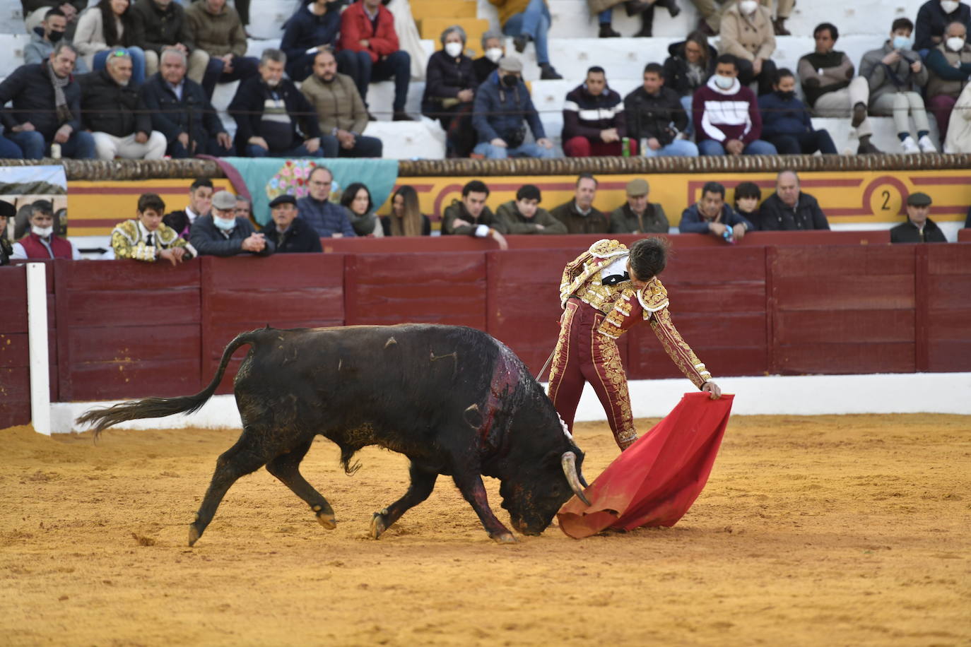 Fotos: Primer festejo de la Feria de Olivenza: Novillada con Carlos Domínguez, Manuel Perera y Eric Olivera