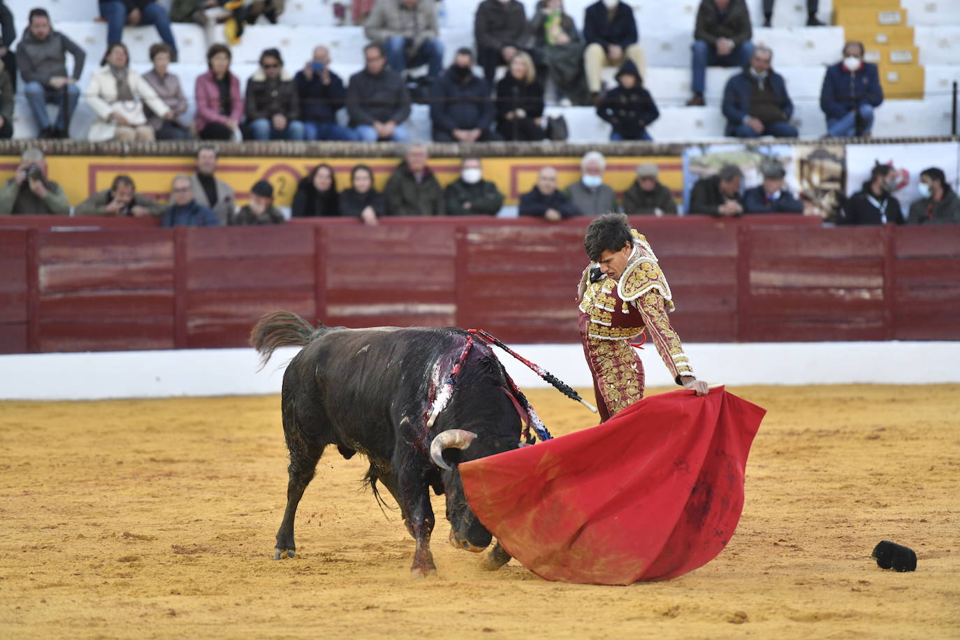 Fotos: Primer festejo de la Feria de Olivenza: Novillada con Carlos Domínguez, Manuel Perera y Eric Olivera