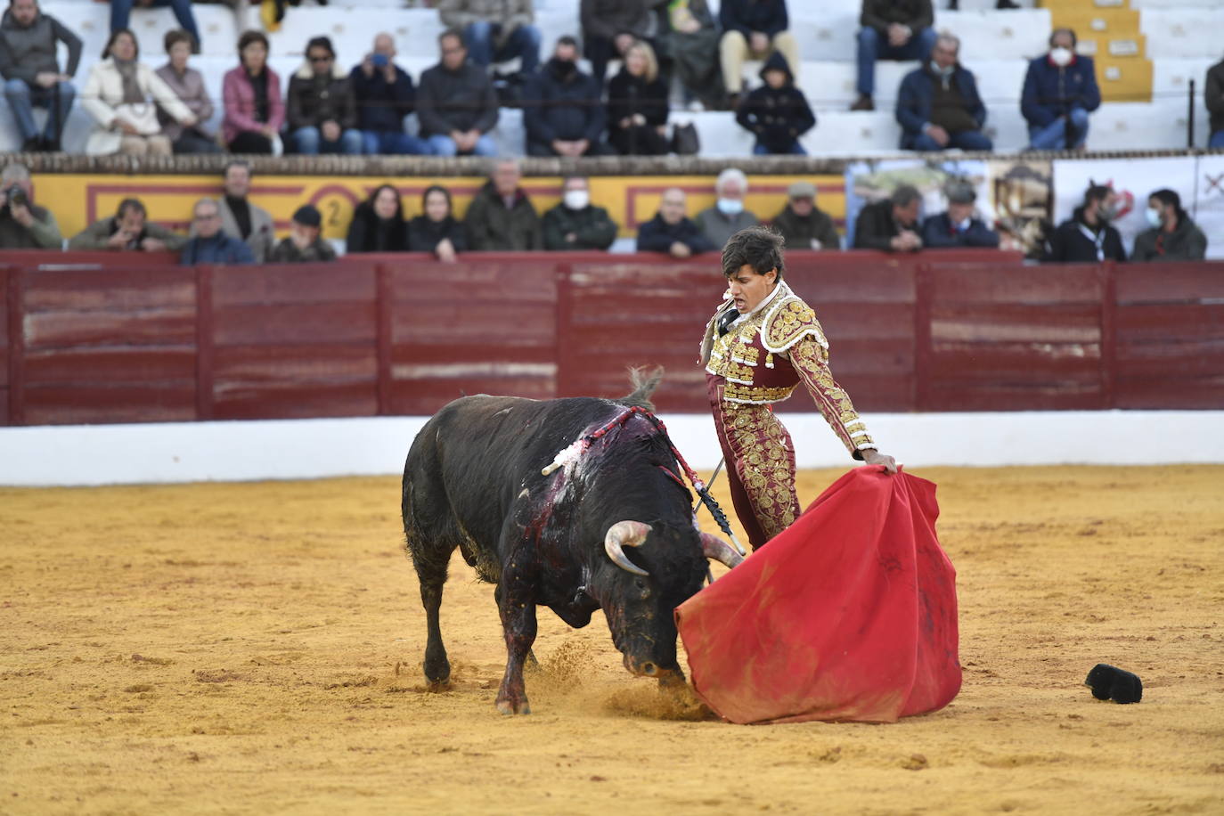 Fotos: Primer festejo de la Feria de Olivenza: Novillada con Carlos Domínguez, Manuel Perera y Eric Olivera