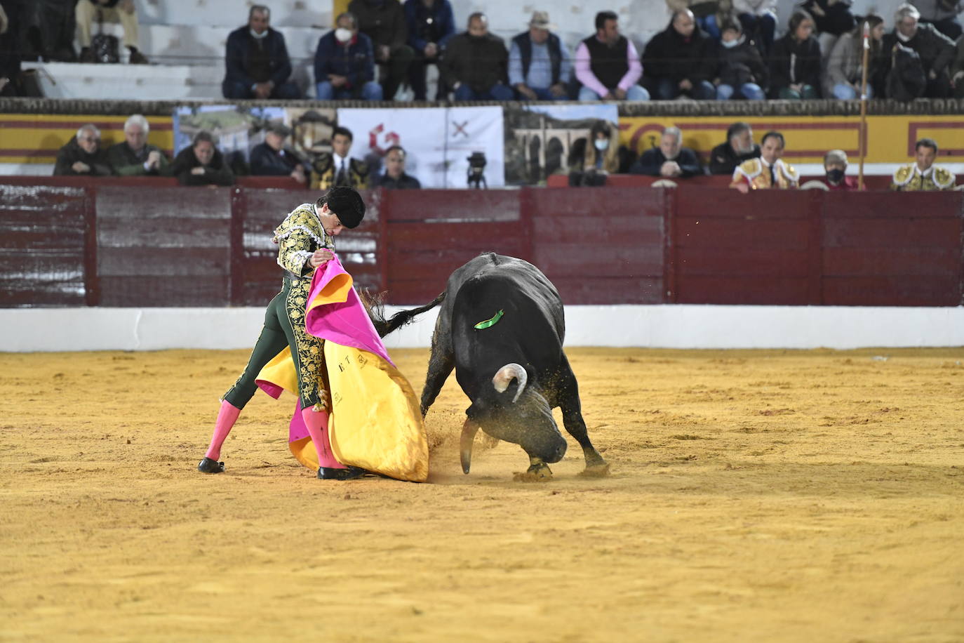 Fotos: Primer festejo de la Feria de Olivenza: Novillada con Carlos Domínguez, Manuel Perera y Eric Olivera