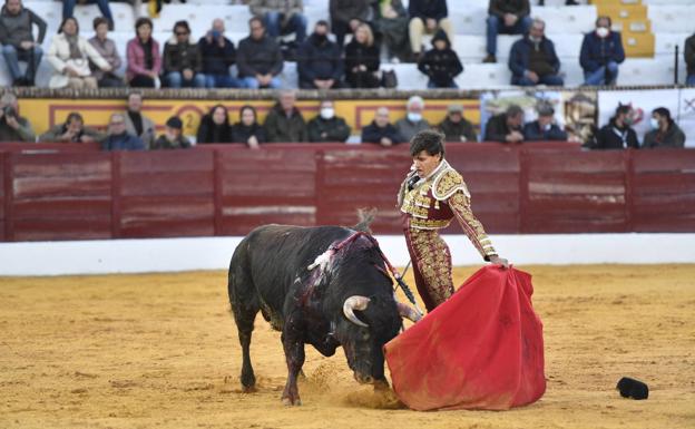 Imagen principal - Natural de Carlos Domínguez al cuarto. Eric Olivera con la oreja de su debut. Desplante de Manuel Perera al segundo. 