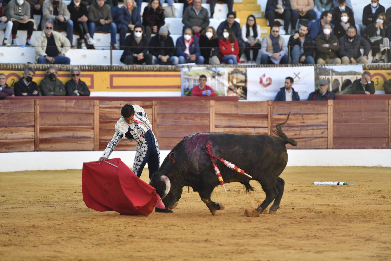 Fotos: Segunda novillada de Olivenza: Lalo de María, Alejandro Adame y Raquel Martín