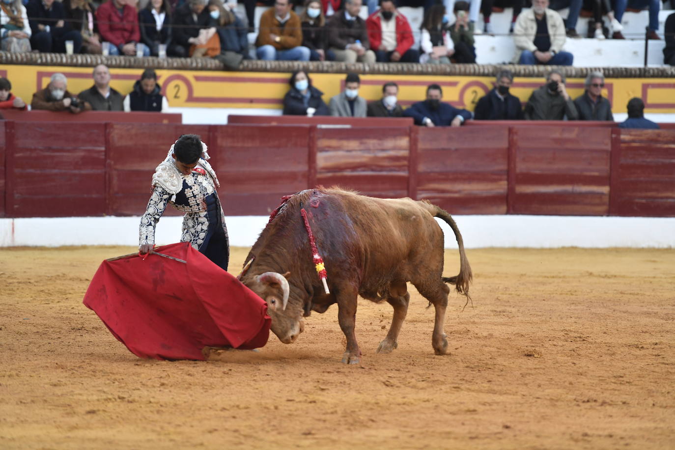 Fotos: Segunda novillada de Olivenza: Lalo de María, Alejandro Adame y Raquel Martín