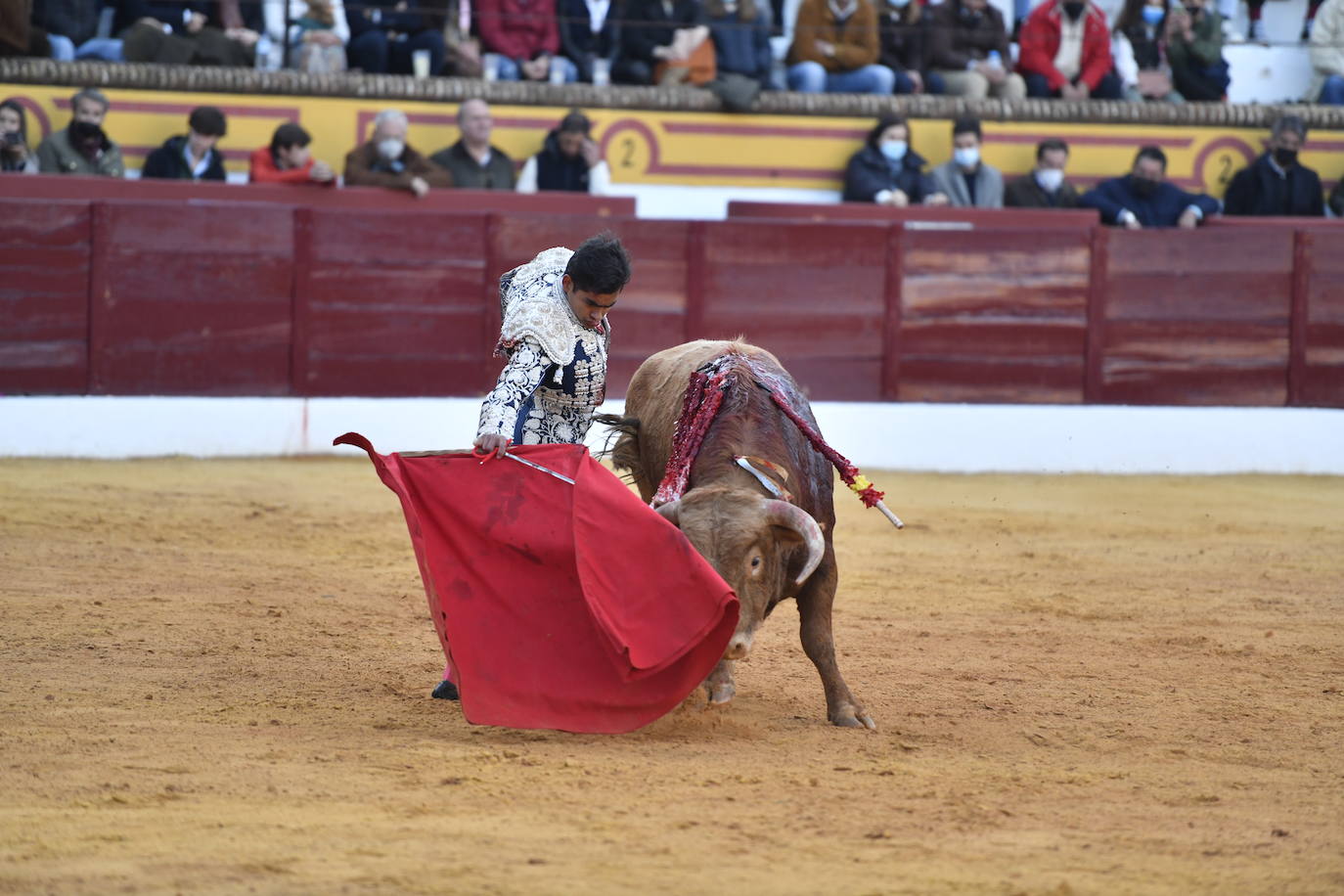 Fotos: Segunda novillada de Olivenza: Lalo de María, Alejandro Adame y Raquel Martín