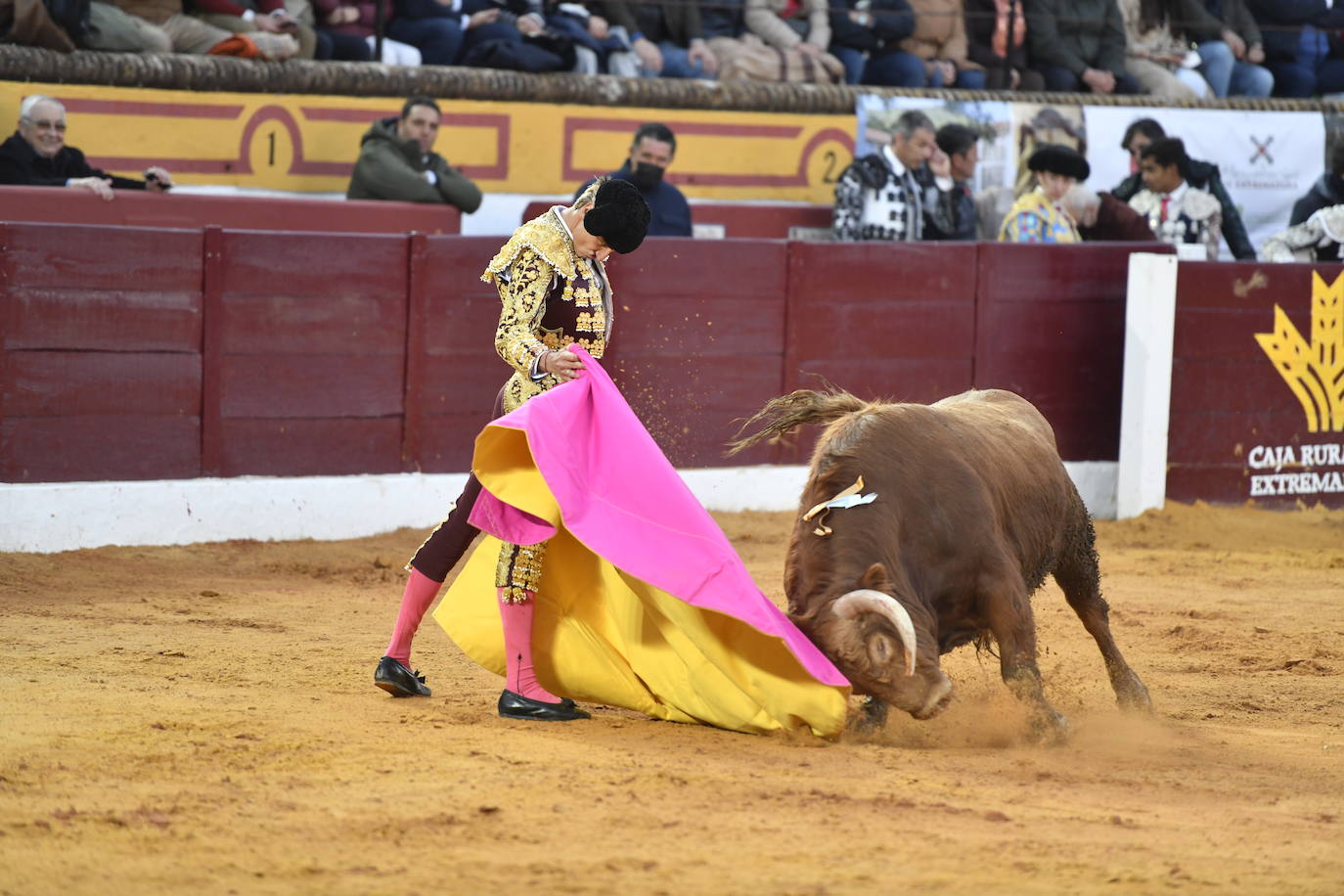 Fotos: Segunda novillada de Olivenza: Lalo de María, Alejandro Adame y Raquel Martín