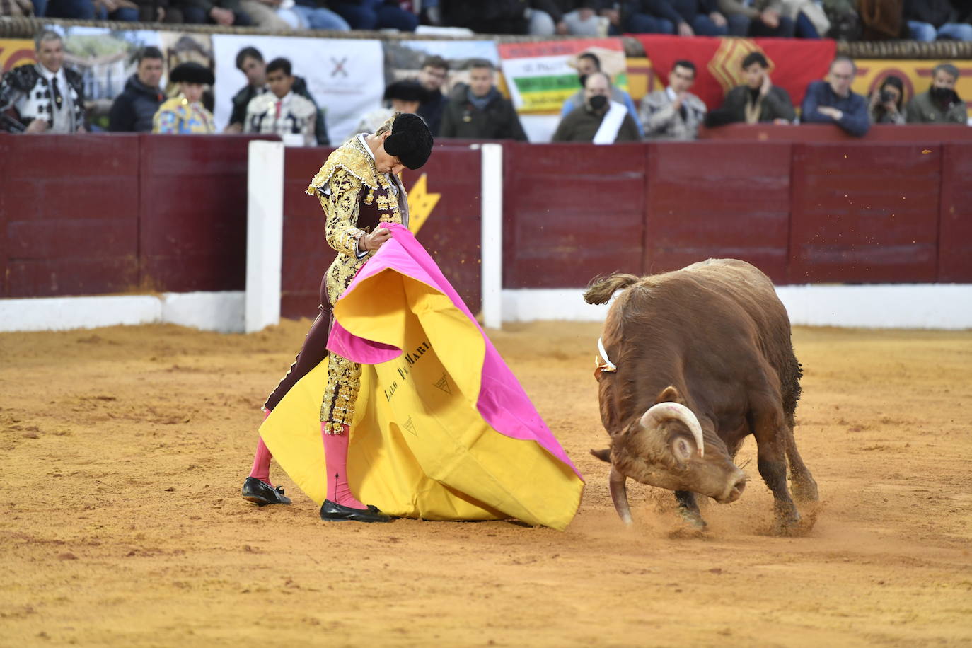 Fotos: Segunda novillada de Olivenza: Lalo de María, Alejandro Adame y Raquel Martín