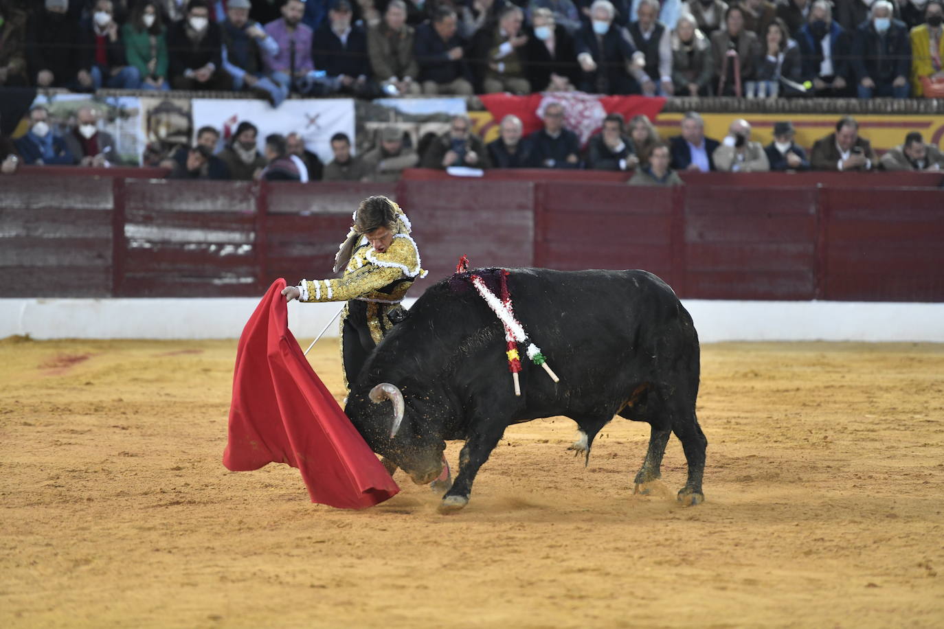 Fotos: En imágenes | La primera corrida de toros de Olivenza con Morante de la Puebla, El Juli y Emilio de Justo