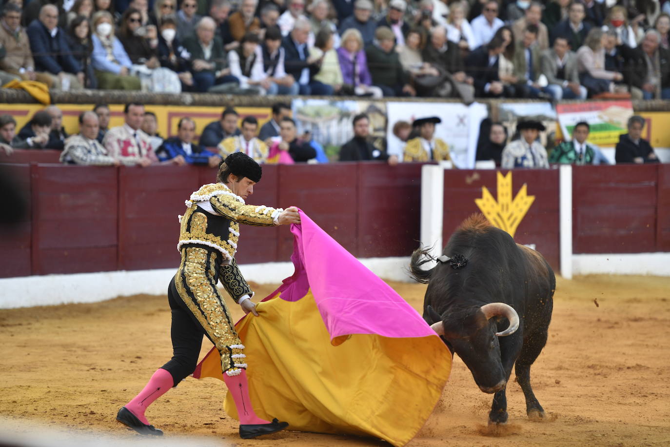 Fotos: En imágenes | La primera corrida de toros de Olivenza con Morante de la Puebla, El Juli y Emilio de Justo