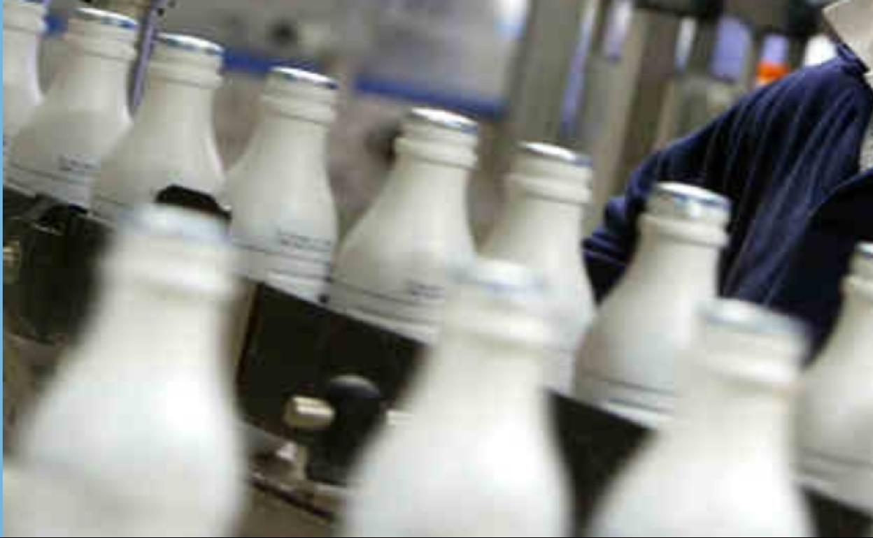 Proceso de precintado de unas botellas de leche.