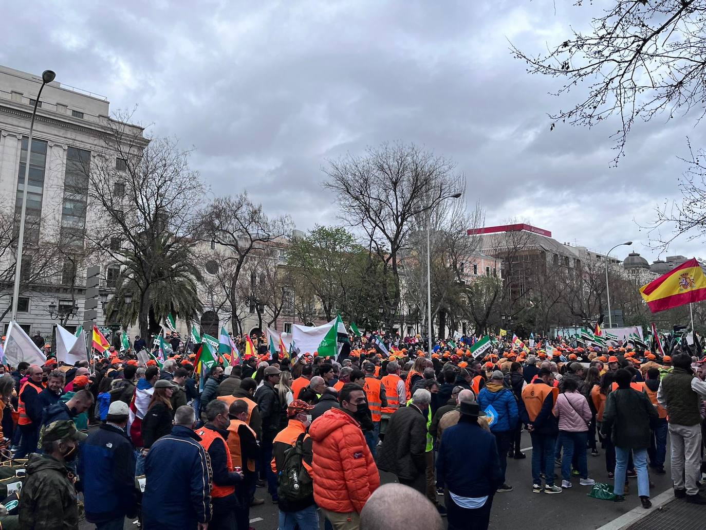 Fotos: El mundo rural extremeño exhibe fuerza en Madrid