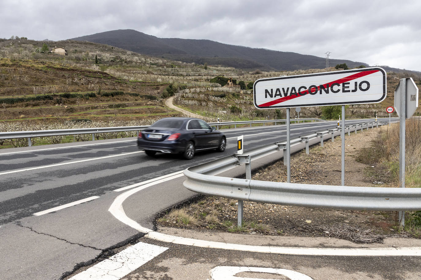 Localidad de Cabezuela del Valle ayer viernes por la mañana con un cerezo en flor en primer plano.