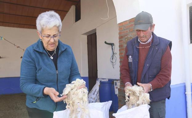 Rita y Miro Rodríguez con el vellón que guardan de la primera esquila. 