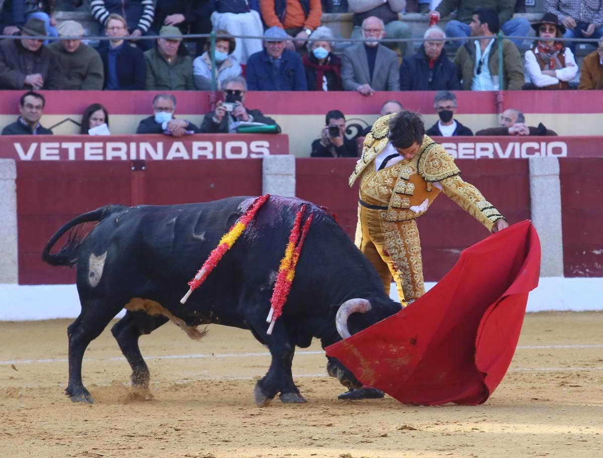 Fotos: Morante, Roca Rey de Emilio de Justo salen a hombros en Almendralejo