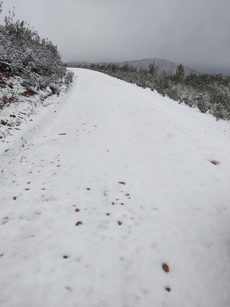 Fotos: Nieve caída en la zona de las Villuercas en pleno mes de abril