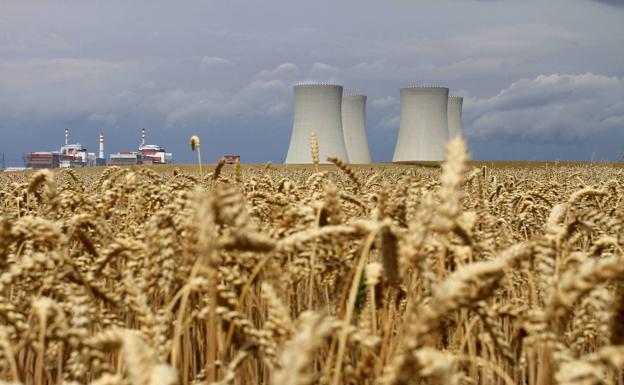 Campo de trigo en las inmediaciones de la central nuclear de Temelin, en la República Checa