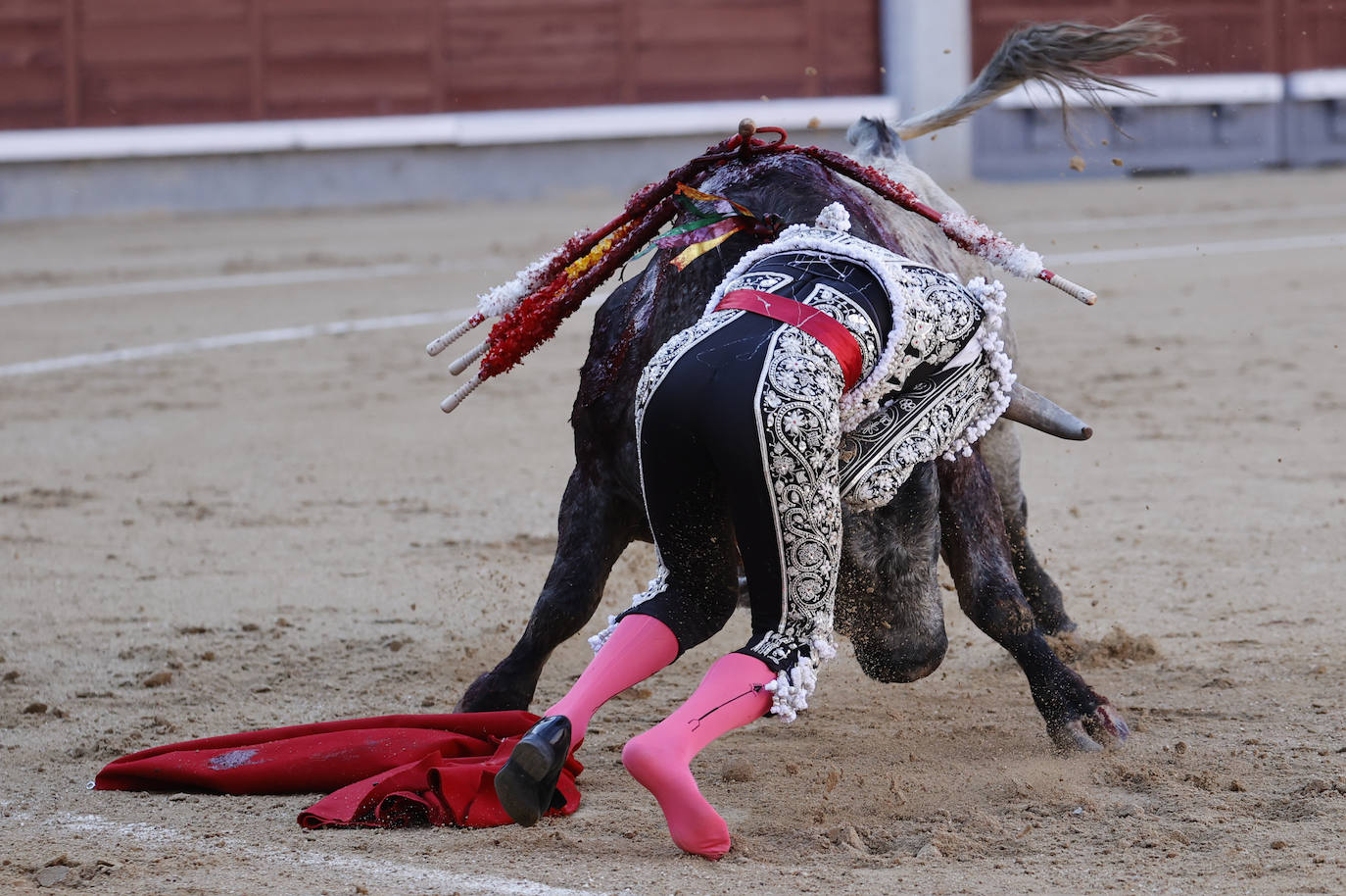 El diestro Emilio de Justo es cogido por el toro durante la corrida del Domingo de Ramos, en el coso taurino de Las Ventas, en Madrid.