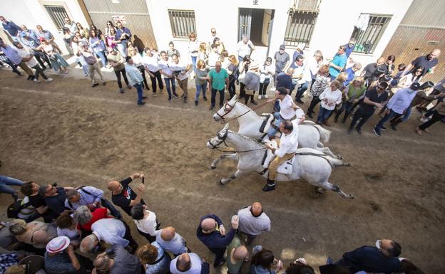 Permanece grave en la UCI la mujer arrollada por un caballo en el Día de la Luz de Arroyo