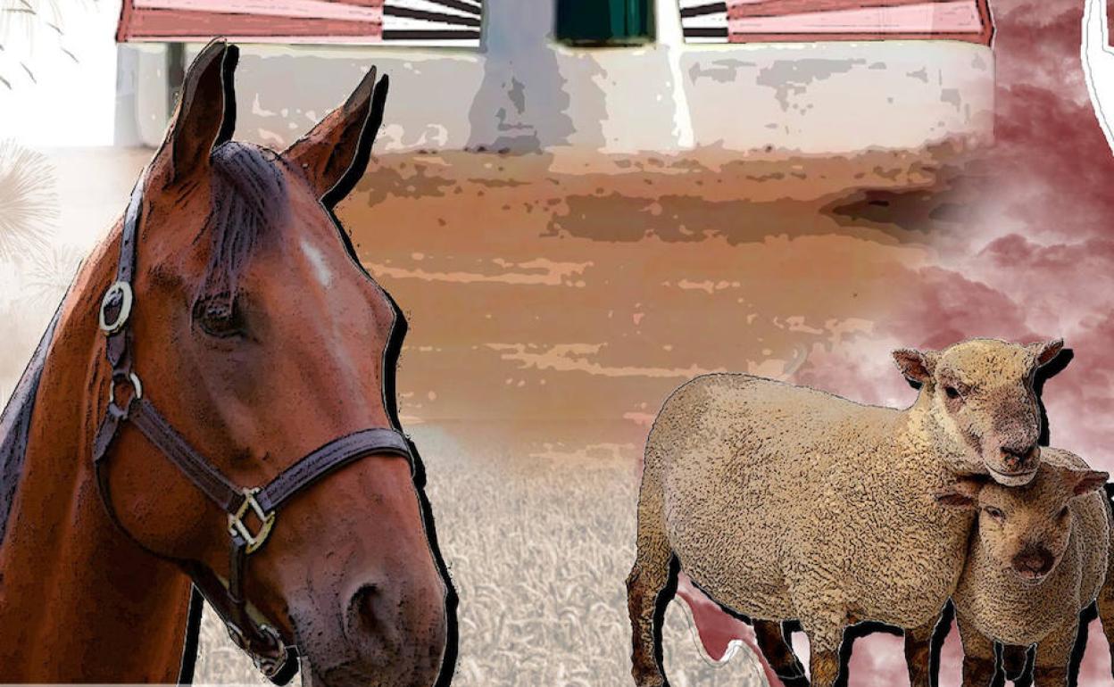 Este puente se celebra la Feria del Ganado de La Zarza