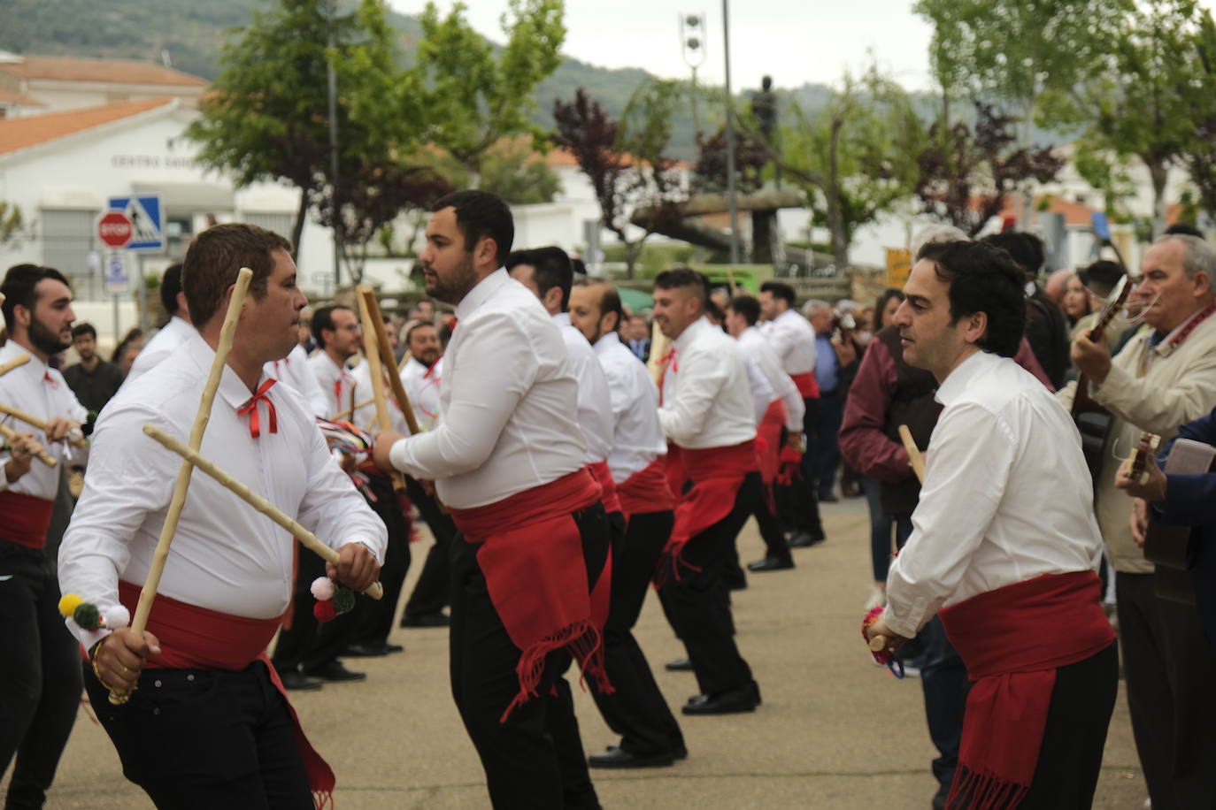 Fotos: Fiesta de la Jara en Flor, día grande de La Siberia