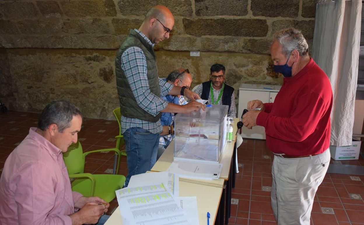 Votación en Trujillo.